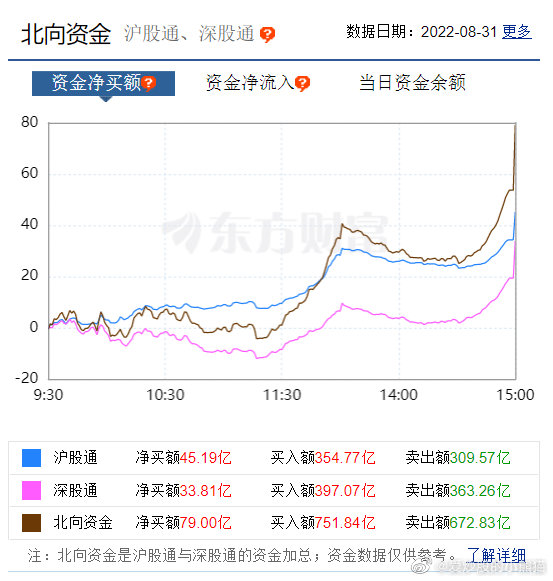 熊猫股票行情,小巷深处的投资机遇与宝藏探索