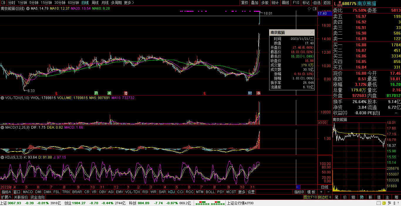 熊猫股票行情,小巷深处的投资机遇与宝藏探索