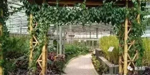 最新肉类价格,自然美景与味蕾之旅的交织体验