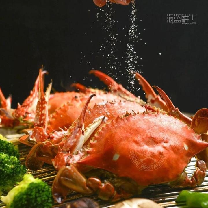 海盗战最新动态揭秘,最新情报汇总