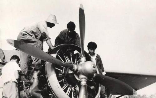 猫歌剧演员,舞台上的璀璨星辰闪耀之旅✨