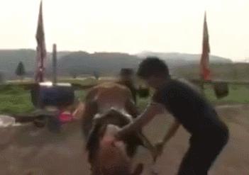 上海最新交通事故深度分析与观点阐述