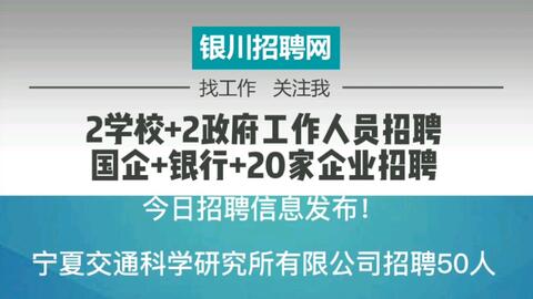 望城最新招聘信息,时代脉搏下的就业航标