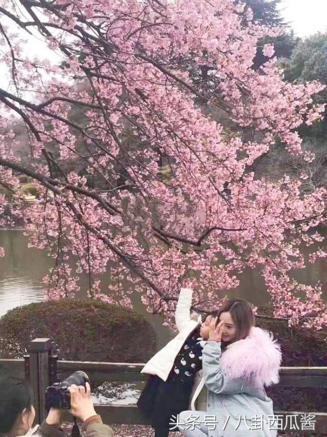 魔域最新探险之旅,自然美景探寻内心平和与喜悦的旅程