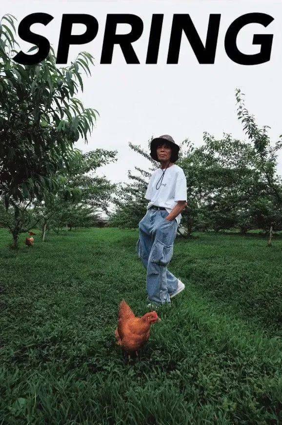 青青草视频最新动态,学习变化,自信与成就感的成长之路