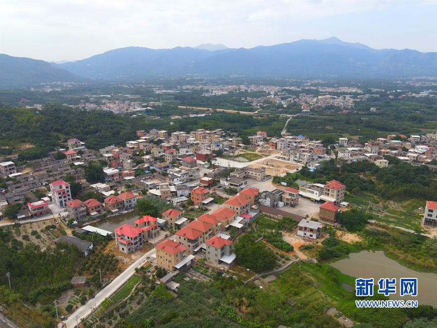 最新忏悔录揭秘,小巷中的秘密特色小店