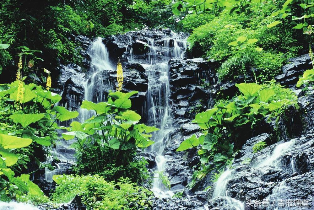 通化最新招聘信息,时代的脉搏与就业的航标同步更新