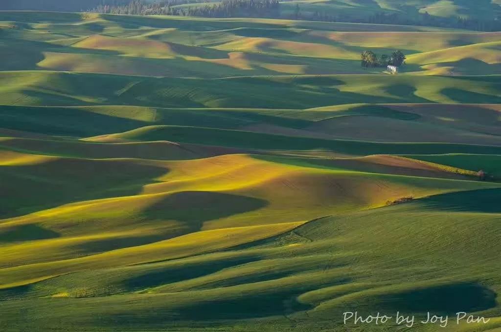 最新麦田怪圈,探寻自然美景,寻觅内心宁静与平和的旅程