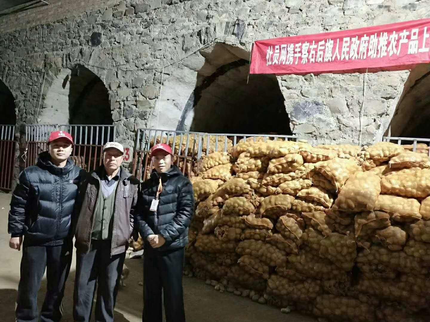 土豆价格最新行情走势分析🍠🥔