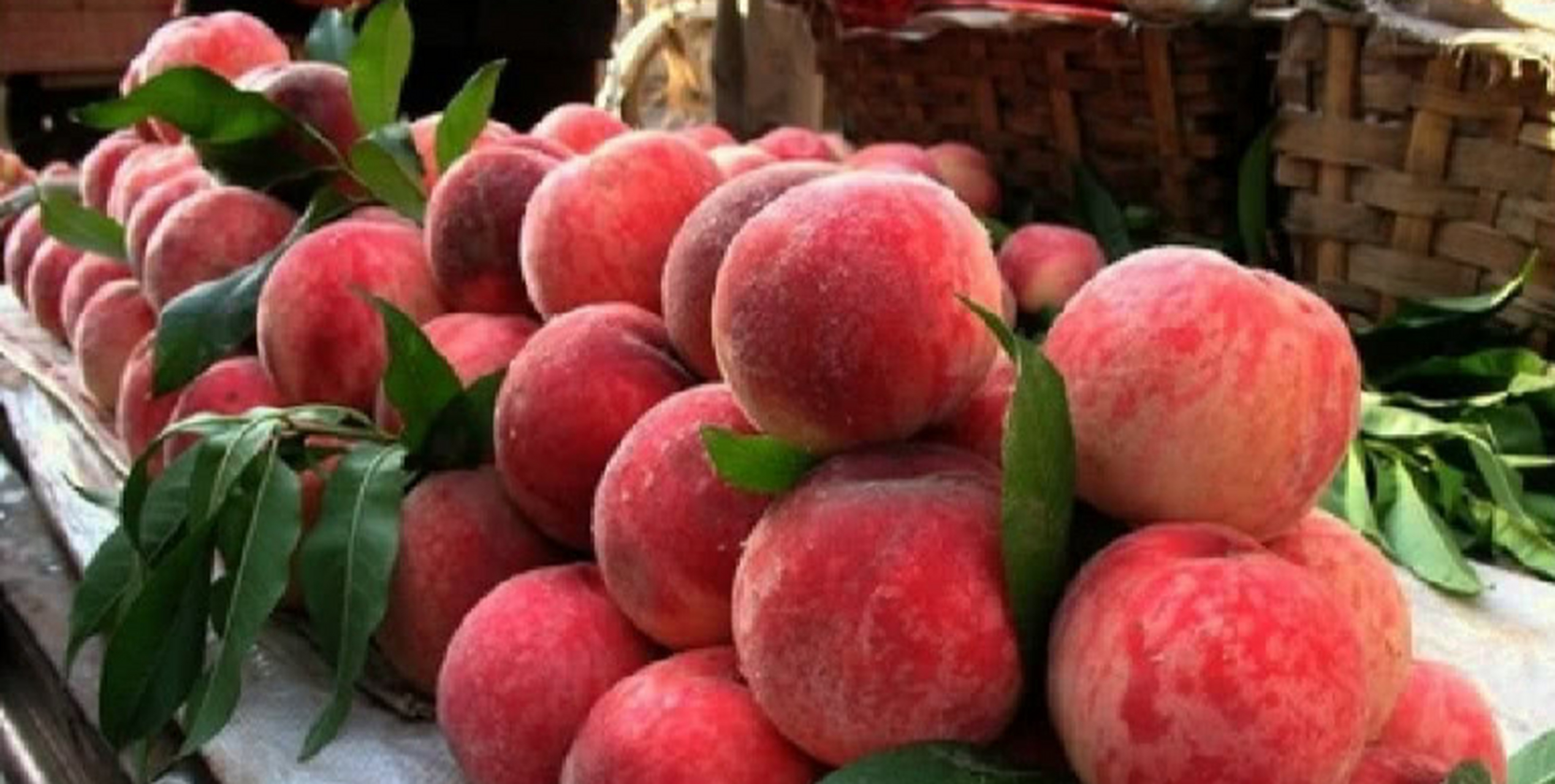 桃最新价格及市场走势深度解析