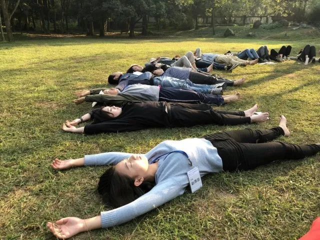 幼女自然美景探索之旅，最新体验之旅