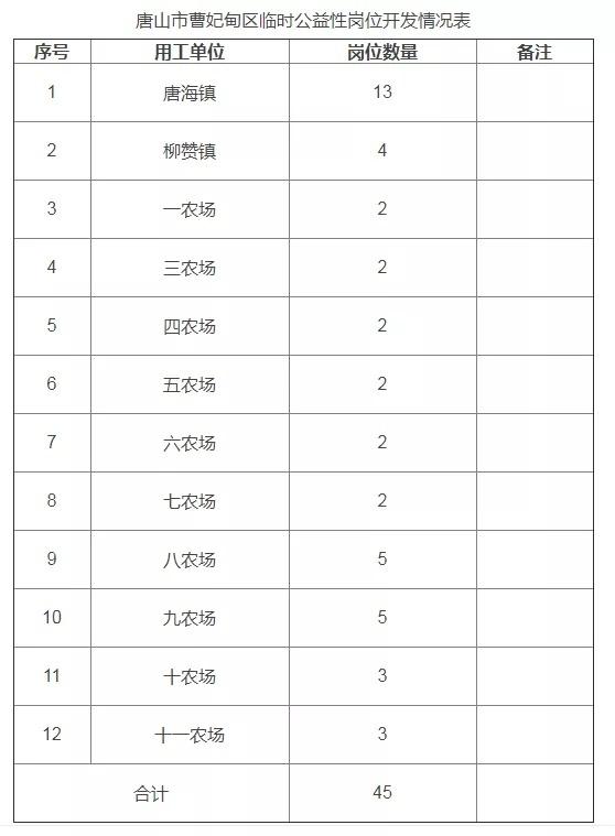 曹妃甸最新招聘,机遇与挑战解析
