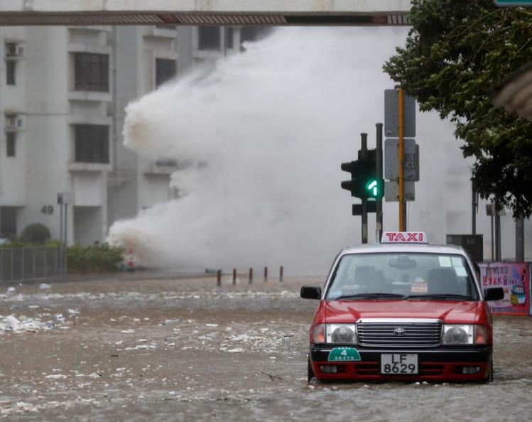 台风天鸽最新动态,温馨日常故事在天鸽的羽翼之下