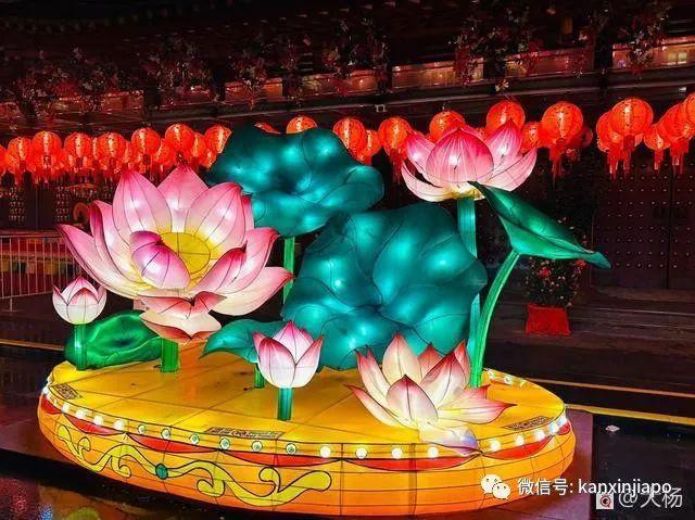 小巷深处的隐藏宝藏,最新电视刷推荐