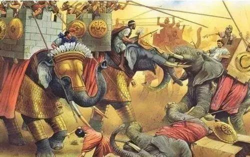 王者荣耀最新英雄揭晓,自然之旅的使者启程探索内心宁静之路