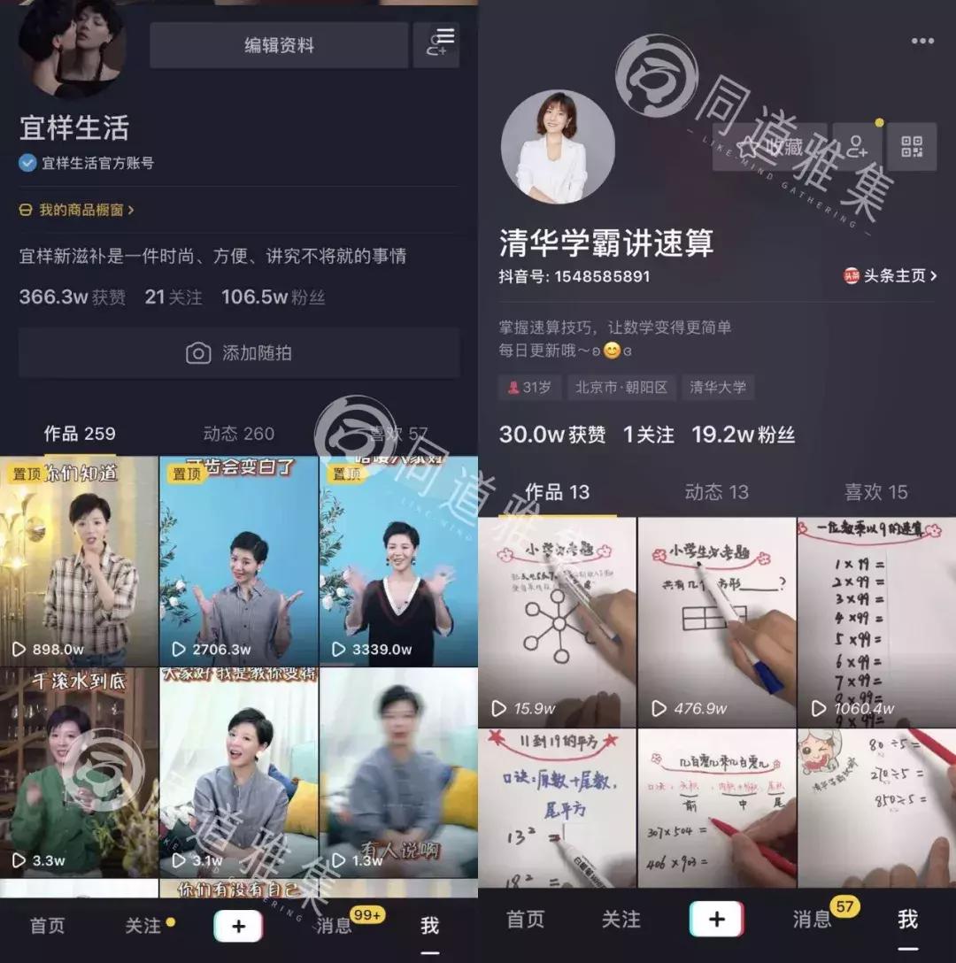 IN最新玩法探索,前沿乐趣尽享