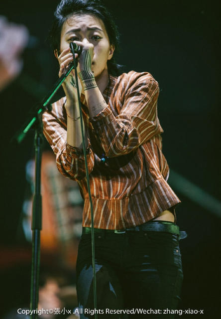 王菲最新歌曲揭秘,小巷深处的音乐传奇