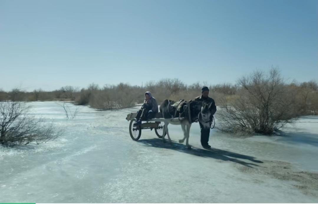 海清最新电视剧,观看与追踪指南全攻略