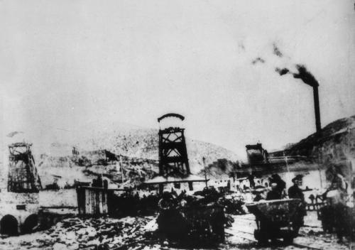 最新后宫番,动漫界的璀璨明珠