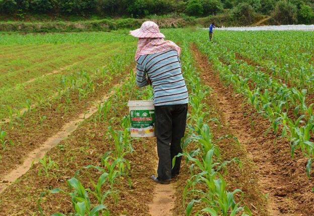 大蒜最新价格背后的友情、家庭与日常趣事之旅
