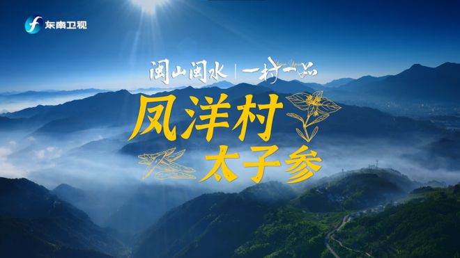 百事最新广告,探索自然之旅,寻找内心平和与宁静