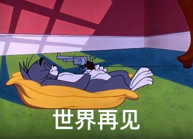 汤姆猫最新现象深度解析,影响与观点探讨