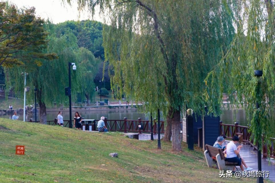 応子最新广场舞,舞动生活的旋律之美