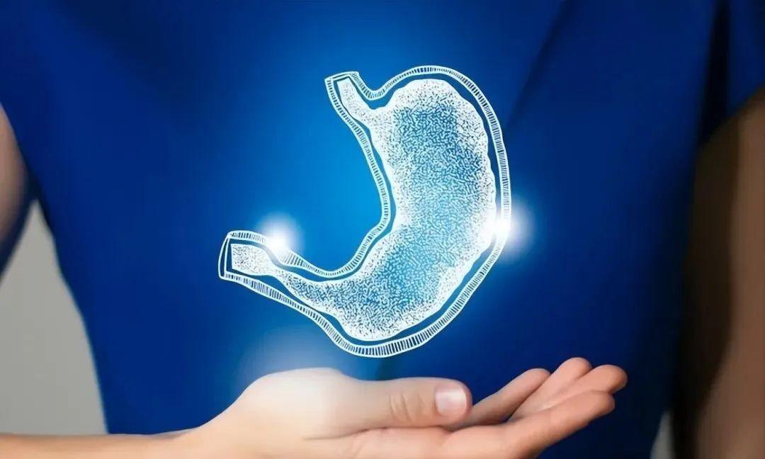 最新比赛视频大全,精彩瞬间一网打尽,不容错过!