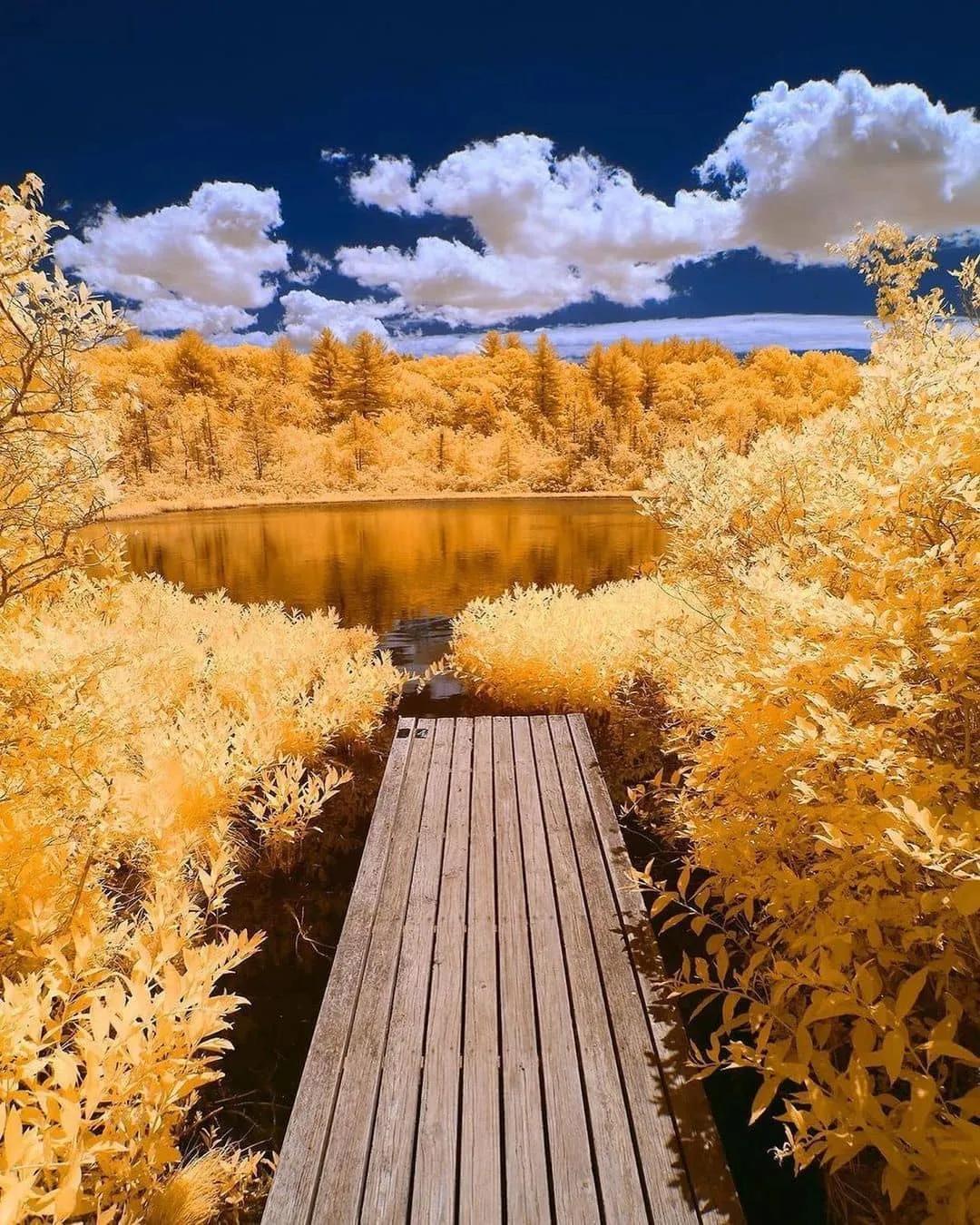 心灵与自然的美景之旅,最新感人新闻回顾