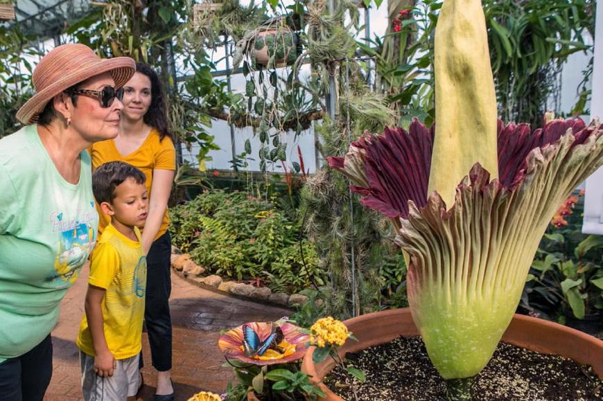 科技魔力重塑惊悚体验,美国最新恐怖电影震撼来袭