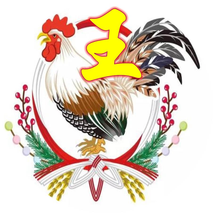 探寻中国姓氏文化的时代变迁,百家姓最新版解析