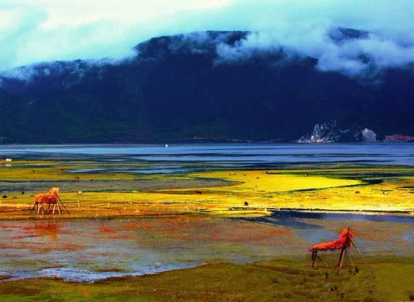 广西高考最新动态,绿色征途开启,自然美景探索之旅启动!