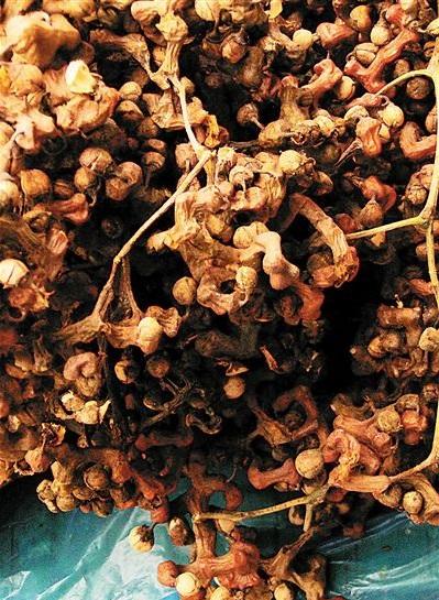 生姜价格最新行情详解,获取与分析价格信息的全面指南