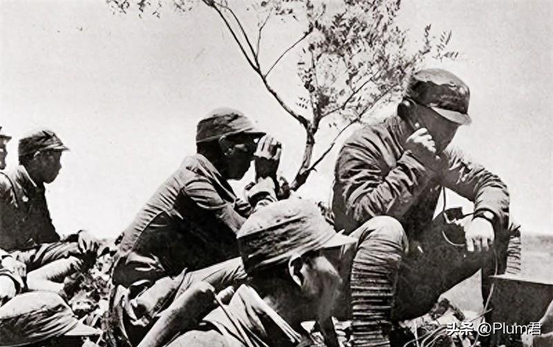 2017最新电影,电影院奇遇与友情的温馨之旅