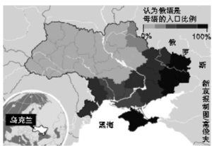 乌克兰局势最新分析,爱与陪伴的温馨日常故事中的希望之光