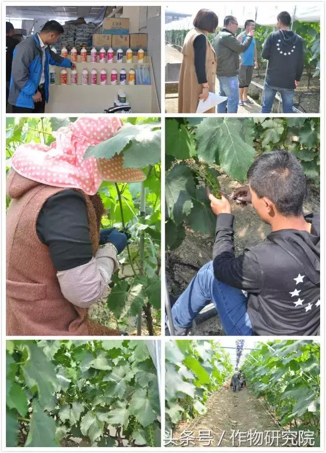 保山最新招聘信息,科技驱动职业与生活双重进阶