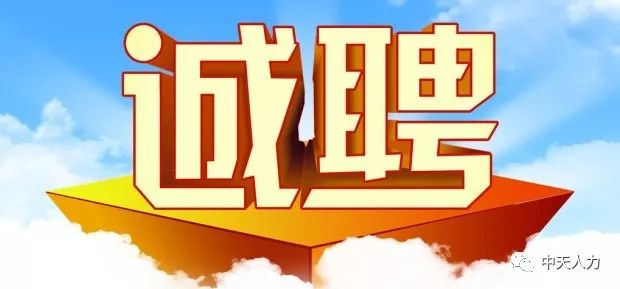 新泰最新招聘信息,家的温馨故事与求职者的新起点