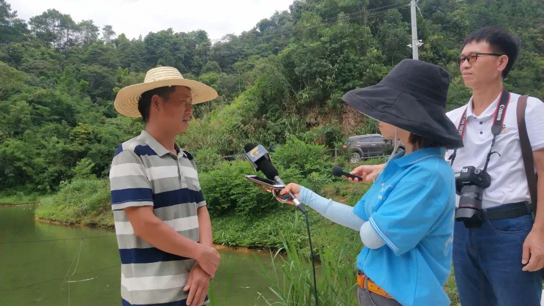 最新草鱼价格行情走势,变化中探寻机遇,学习与自信铸就成功