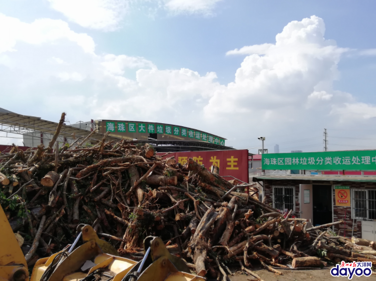 台风安比最新消息,小巷奇遇揭示特色小店的隐秘魅力