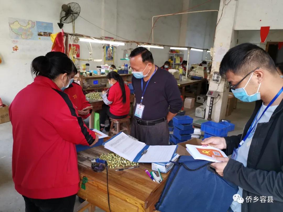 容县最新招工情况概览,背景、事件与影响分析