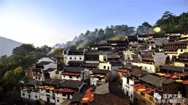 钒最新价格及小巷深处的独特风情揭秘