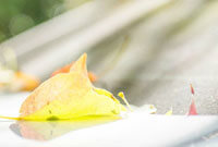 2016最新情侣头像流行趋势与选择建议