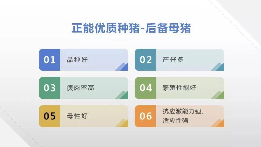 Yezhulu最新地址揭秘,探索前沿,掌握最新资讯资讯