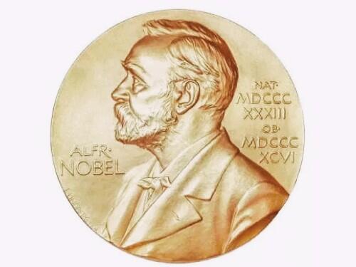 最新诺贝尔奖及其背后的故事,小巷中的独特小店获殊荣