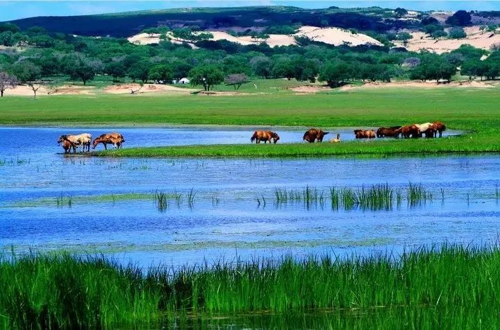 美的最新款净水器,与自然美景相伴的纯净之旅