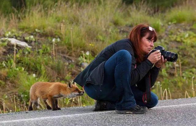 人与动物的和谐之旅,探索自然美景的愉快探险