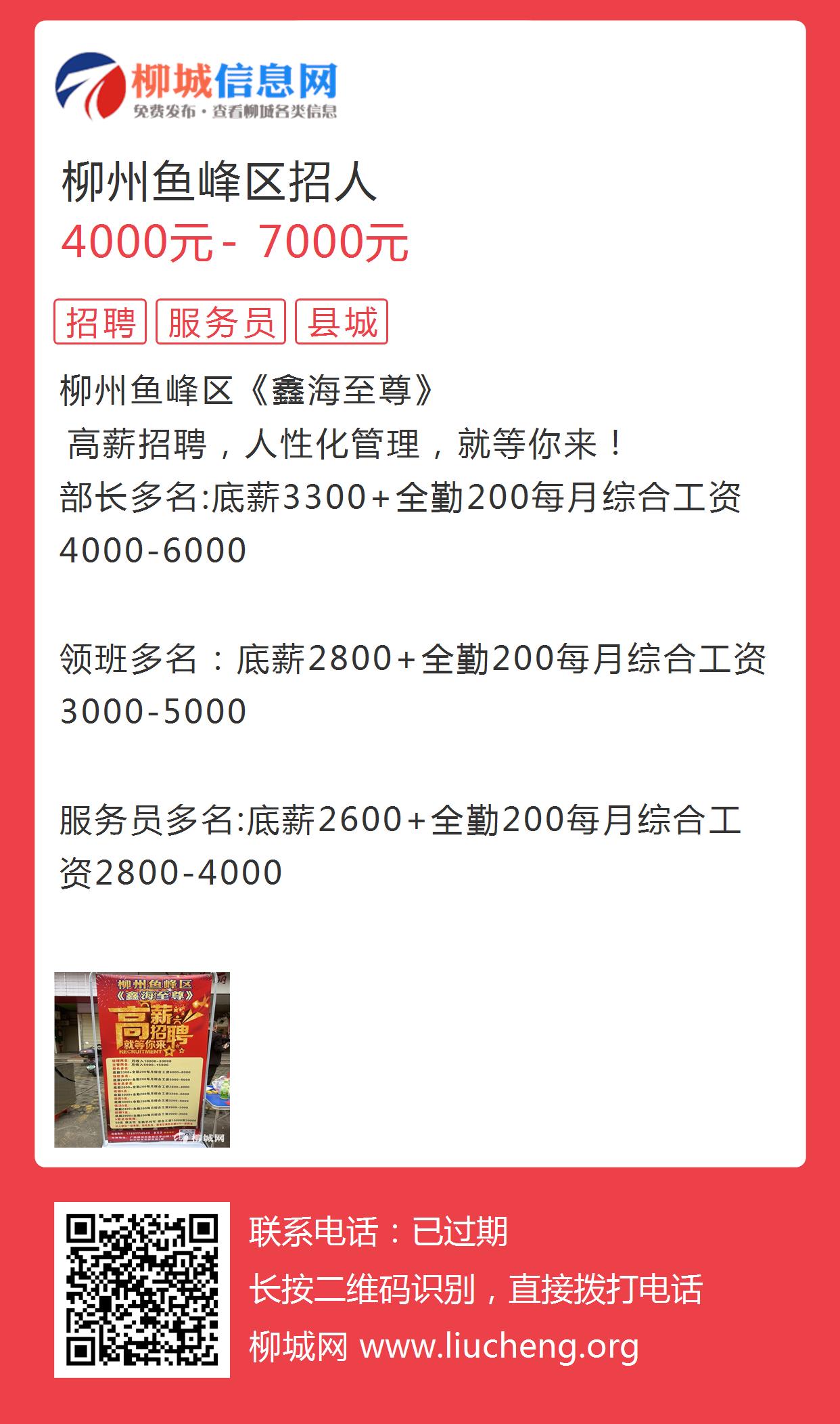LED招聘网最新招聘信息,小巷中的求职奇遇与隐藏宝藏探索