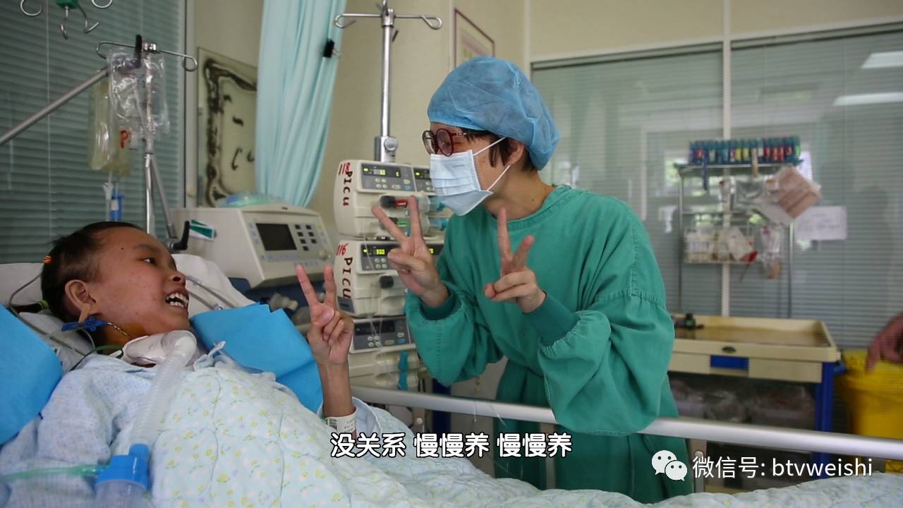 生命缘最新一期,医疗奇迹与生命故事的新篇章揭晓