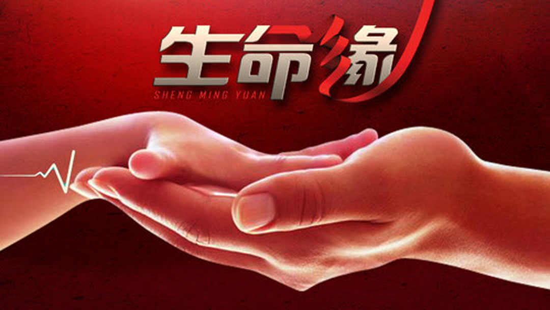 生命缘最新一期,医疗奇迹与生命故事的新篇章揭晓