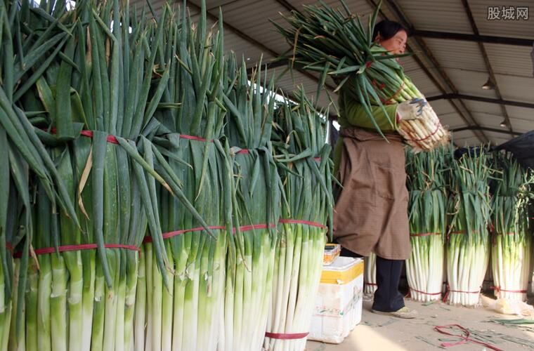香葱价格最新行情揭秘,一场绿色之旅探寻内心平静之路